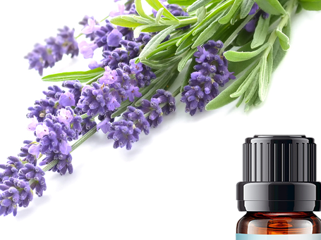 Lavender Essential Oil