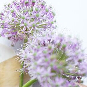 lavender essential oil for home