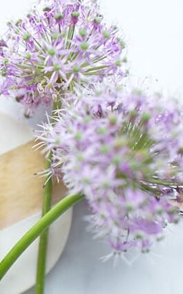 lavender essential oil for laundry