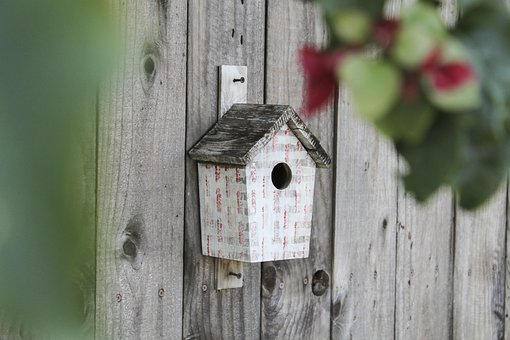 diy wood bird house